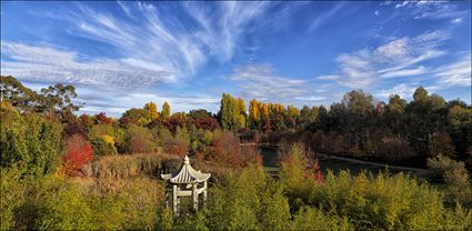 Beechworth Chineese Garden - VIC T (PBH4 00 13608)